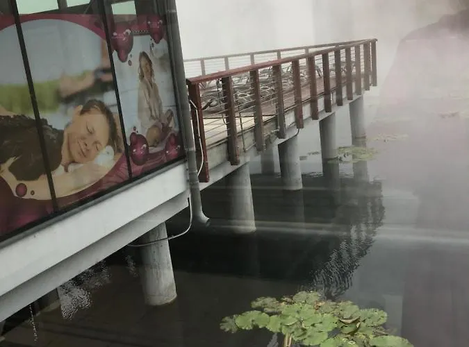 Liliom Apartman アパート *